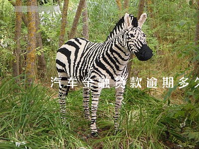 汽车金融贷款逾期多久收车 汽车金融贷款逾期多久收车