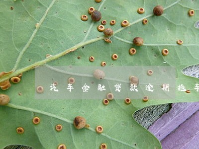 汽车金融贷款逾期拖车 汽车金融贷款逾期拖车