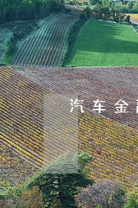 汽车金融车贷的非恶意逾期证明