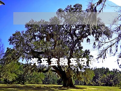 汽车金融车贷逾期几天被拖车 汽车金融车贷逾期几天被拖车