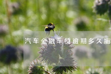 汽车金融车贷逾期多久拖车 汽车金融车贷逾期多久拖车