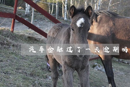 汽车金融过了一天逾期吗 汽车金融过了一天逾期吗