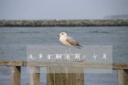汽车金融逾期5个月 汽车金融逾期5个月