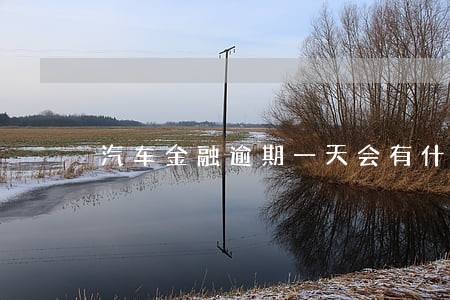 汽车金融逾期一天会有什么后果