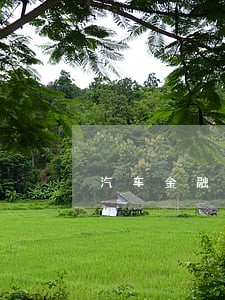 汽车金融逾期了会怎么样 汽车金融逾期了会怎么样