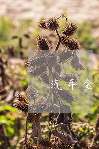 汽车金融逾期率是多少 汽车金融逾期率是多少