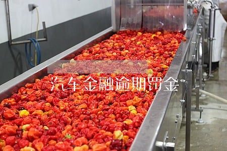 汽车金融逾期罚金 汽车金融逾期罚金