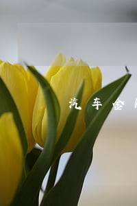 汽车金融逾期诉讼培训 汽车金融逾期诉讼培训