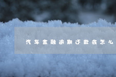 汽车金融逾期还款会怎么样 汽车金融逾期还款会怎么样