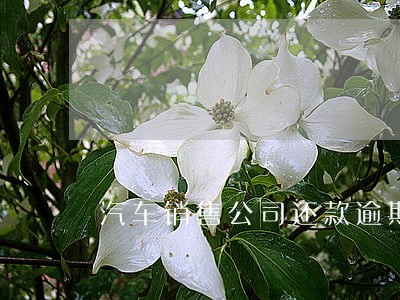 汽车销售公司还款逾期 汽车销售公司还款逾期