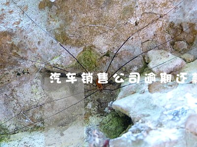 汽车销售公司逾期还款 汽车销售公司逾期还款