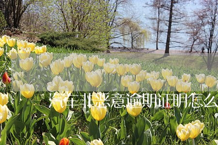 汽车非恶意逾期证明怎么写 汽车非恶意逾期证明怎么写