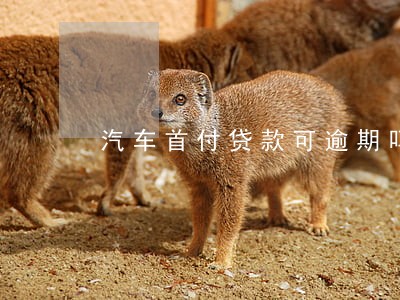 汽车首付贷款可逾期吗 汽车首付贷款可逾期吗