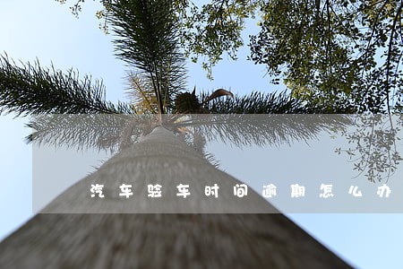 汽车验车时间逾期怎么办 汽车验车时间逾期怎么办