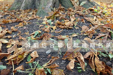 汾阳信合第七批逾期名单 汾阳信合第七批逾期名单