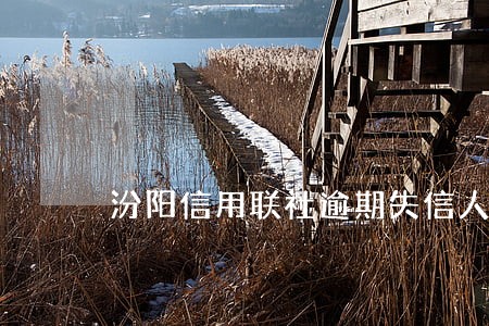 汾阳信用联社逾期失信人员 汾阳信用联社逾期失信人员