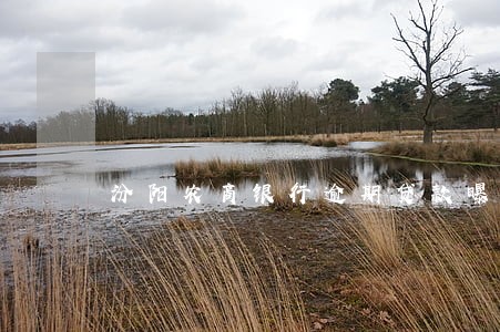 汾阳农商银行逾期贷款曝光名单 汾阳农商银行逾期贷款曝光名单