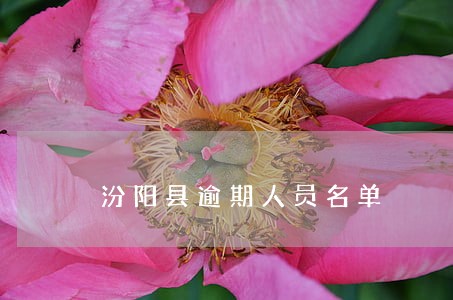汾阳县逾期人员名单 汾阳县逾期人员名单