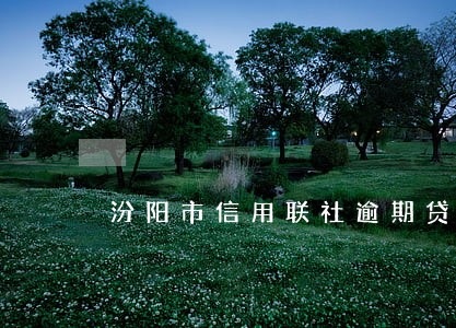 汾阳市信用联社逾期贷款名单 汾阳市信用联社逾期贷款名单