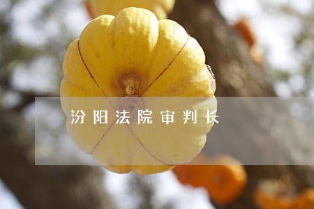 汾阳法院审判长