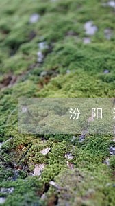 汾阳法院王来平 汾阳法院王来平