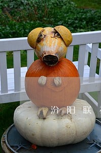 汾阳联社逾期贷款人员查询 汾阳联社逾期贷款人员查询