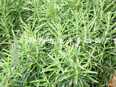 汾阳违法停车抓拍厂家批发价格 汾阳违法停车抓拍厂家批发价格