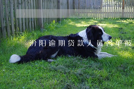 汾阳逾期贷款人员名单被曝光 汾阳逾期贷款人员名单被曝光