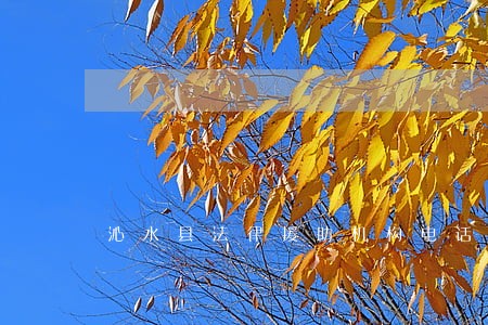 沁水县法律援助机构电话 沁水县法律援助机构电话