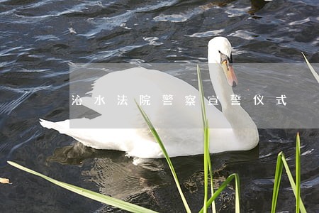 沁水法院警察宣誓仪式