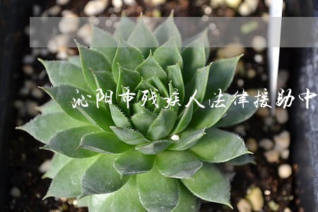 沁阳市残疾人法律援助中心在哪里