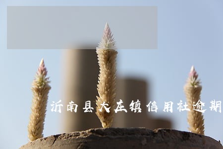 沂南县大庄镇信用社逾期 沂南县大庄镇信用社逾期