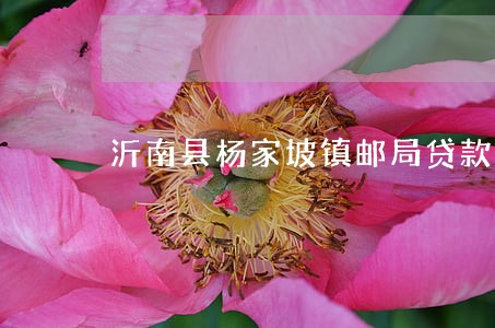 沂南县杨家坡镇邮局贷款逾期 沂南县杨家坡镇邮局贷款逾期