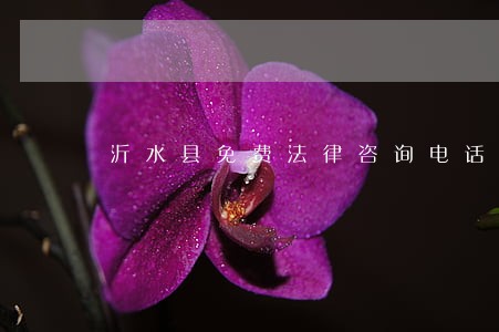沂水县免费法律咨询电话 沂水县免费法律咨询电话