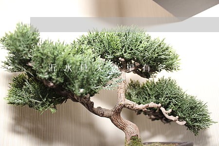 沂水县天达星有名的律师 沂水县天达星有名的律师
