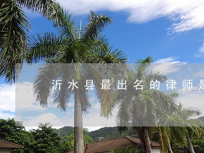 沂水县最出名的律师是谁 沂水县最出名的律师是谁