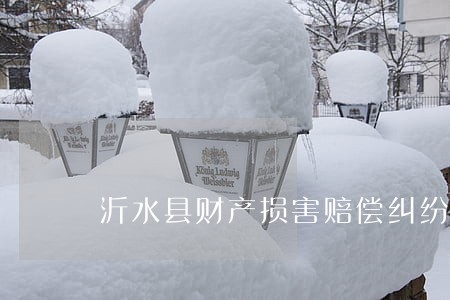 沂水县财产损害赔偿纠纷律师九 沂水县财产损害赔偿纠纷律师九
