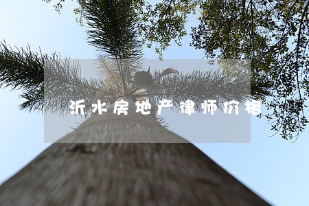 沂水房地产律师价格 沂水房地产律师价格