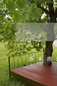 沂水房地产律师报价 沂水房地产律师报价