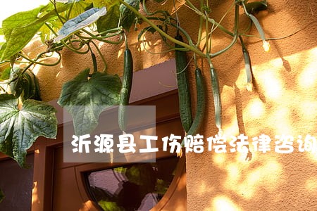 沂源县工伤赔偿法律咨询热线