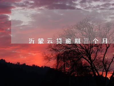 沂蒙云贷逾期三个月 沂蒙云贷逾期三个月