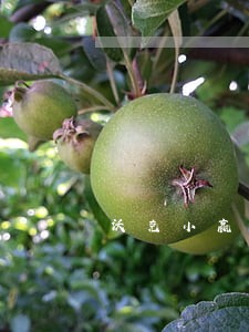 沃克小赢卡贷逾期 沃克小赢卡贷逾期