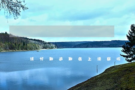 沃分期逾期会上法庭吗