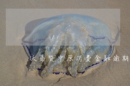 沃易贷中原消费金融逾期四天 沃易贷中原消费金融逾期四天