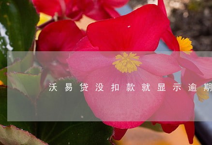 沃易贷没扣款就显示逾期 沃易贷没扣款就显示逾期