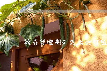 沃易贷逾期62天会打电话嘛 沃易贷逾期62天会打电话嘛