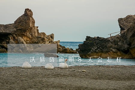 沃易贷逾期8天会怎样 沃易贷逾期8天会怎样