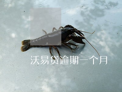 沃易贷逾期一个月 沃易贷逾期一个月