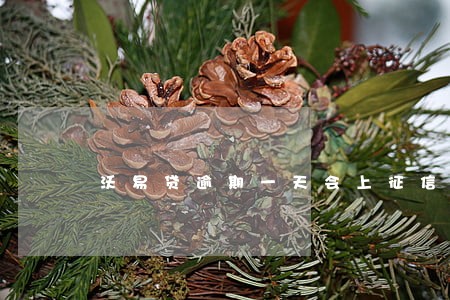 沃易贷逾期一天会上征信吗 沃易贷逾期一天会上征信吗