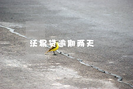 沃易贷逾期两天 沃易贷逾期两天